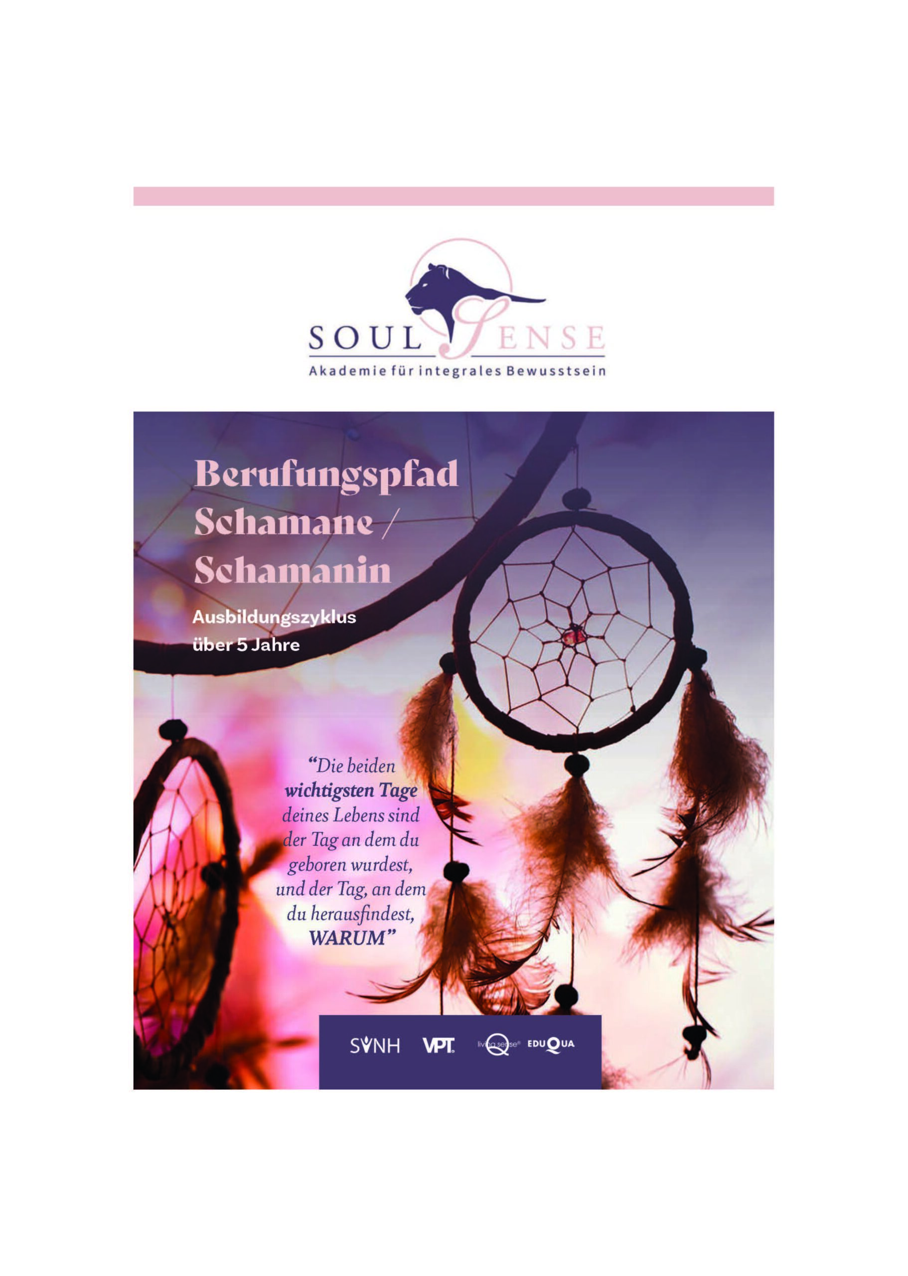 Broschüre Schamane soulsense.ch