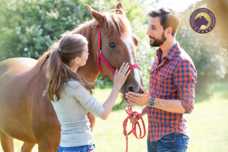 Ausbildung tiergestütztes Coaching