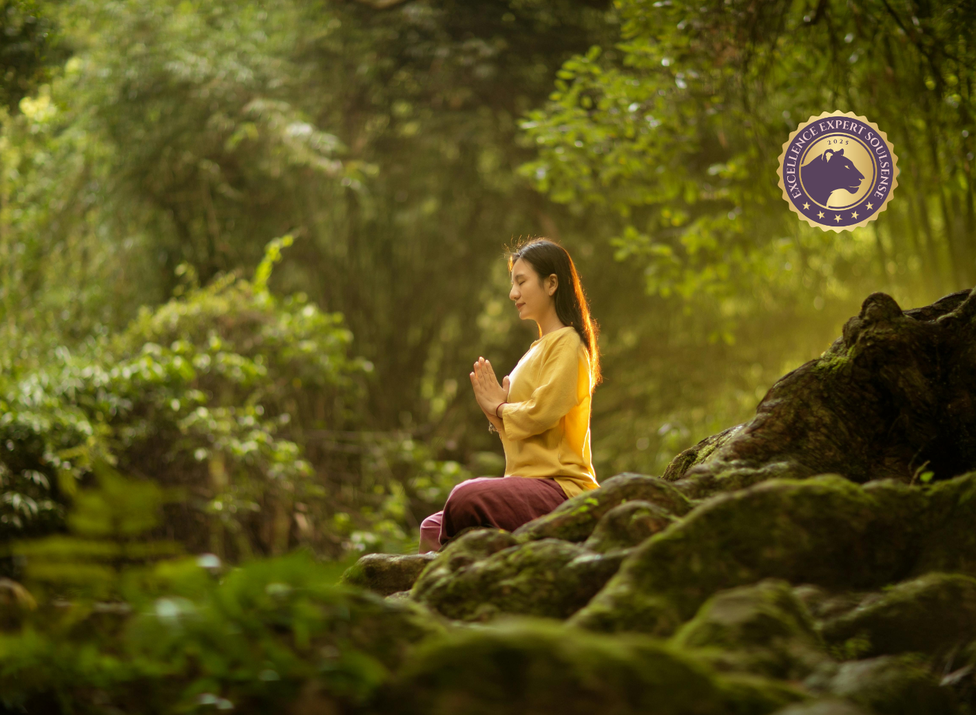 Dipl. Integrale/r Meditationsleiter/in by soulsense.ch
