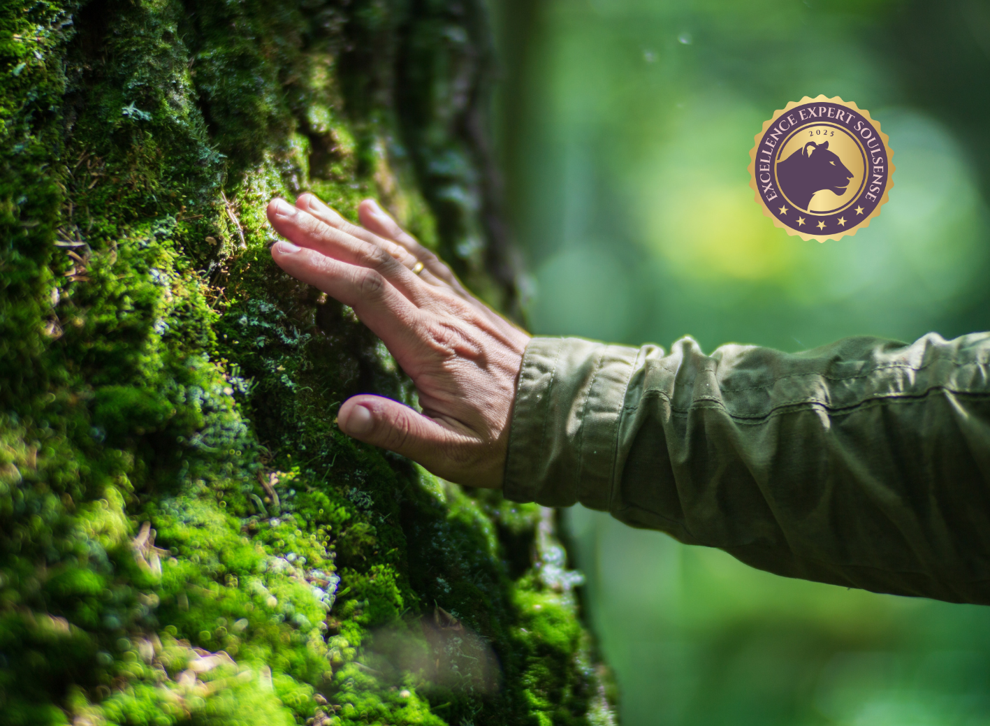 Dipl. Soul Nature Coach / Spiritual Nature Guide by soulsense.ch Naturcoaching; Achtsamkeitscoaching in der Natur; Soul-Nature Coach