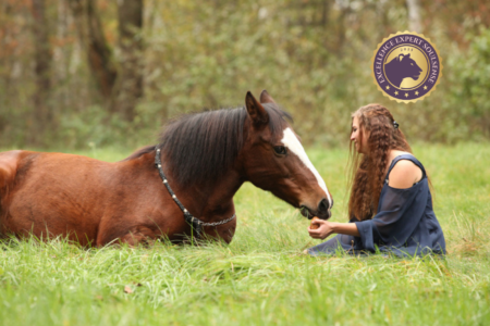 Pferdecoaching; Tiergestützes Coaching